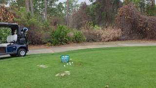 SOLUTIONS BEGINS WITH ASKING QUESTIONS...
Hey, a serious question we should be asking ourselves as Black golf instructors.
Are we operating at a level where we can confidently engage the most recognized teachers in the game—individuals such as Butch Harmon, Jim McLean, or Sean Foley—on the true functionality of the golf swing?
Not from a place of confrontation, but from a place of technical depth.
Do we possess the anatomical knowledge, biomechanical clarity, and cause-and-effect understanding necessary to demonstrate where conventional instruction may fall short? Could we respectfully point out mechanical inconsistencies if they exist? And more importantly, would we have the professional courage to do so?
When a gifted athlete such as Cameron Champ experiences fluctuations or regression, are we equipped to critically evaluate the instructional direction being provided? Do we have the expertise to question whether the sequencing, joint function, and muscular dynamics being taught truly align with how the body works?
These are not emotional questions. They are standards-of-excellence questions.
Representation in halls of fame and professional circles should reflect more than recognition. It should represent mastery—the ability to explain, defend, and, when necessary, challenge prevailing ideas with clarity and evidence.
Are we more committed to agreement, or to advancement?
Are we building knowledge deep enough to stand in any instructional room and speak with authority?
Progress in any discipline requires individuals willing to elevate the conversation through substance. That does not mean attacking others. It means being so grounded in understanding that respectful dialogue at the highest levels becomes possible.
The real issue is not whether others agree. The real issue is whether we are prepared—intellectually and professionally—to lead.
STP
ALWAYS GOOD GOLFN 👍
Go to....
Youtube.com/curlycalhoun
(Subscribe)
@@titleist @golfchannel @espn @damonhackgc @footjoy @pgatour @pgatourchampions @usga @5clubsgolf @ClubShayShay @ClubstarsProduction
#golf #topdown #middlebody #lowerbody #middlewrist l